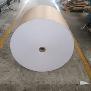 Jumbo Roll Woodfree Paper PEFC Certified 80gsm 70gsm 120gsm Uncoated Offset Reels for Printing.