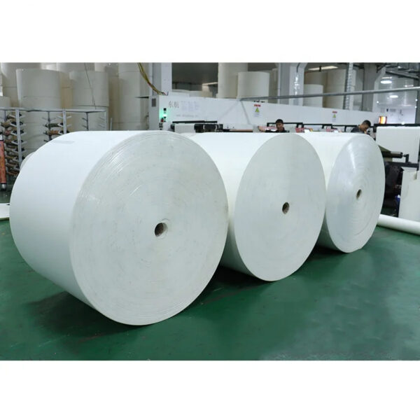 Jumbo roll cup stock paper pe coated single double wall pe coated paper rolls for paper cups