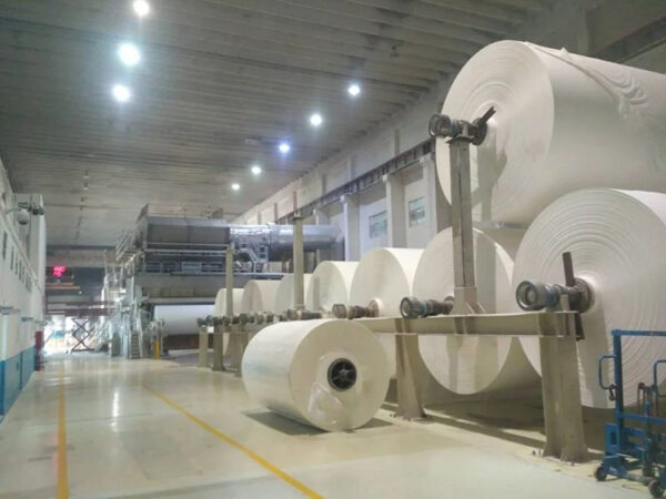 wholesale paper towel raw material jumbo roll best price for Japan - Image 2