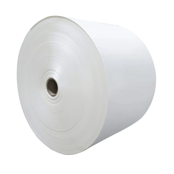 High bulk jumbo food grade kraft PE coated paper jumbo roll paper blanks for making paper cups - Image 2