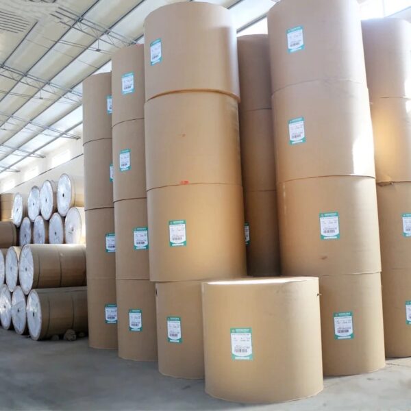 636mm 6000m 55gsm Jumbo Roll Thermal Paper - Image 2