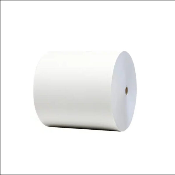 High Quality Bulk PE PLA Coated Paper Cup Raw Material In roll Gsm 150-350 Custom Size printing - Image 3