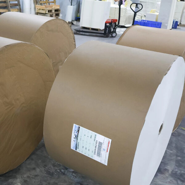 High bulk jumbo food grade kraft PE coated paper jumbo roll paper blanks for making paper cups - Image 4