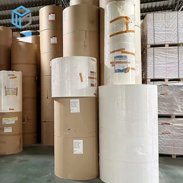 Allyking Cream GC2 Hi-Bulk 100% Virgin Wood Pulp paper Food Grade paper Cup 215 220 235 240 250 270 295 325 350gsm - Image 5