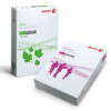 Xerox Multipurpose Copy Paper A4 80GSM - Image 6