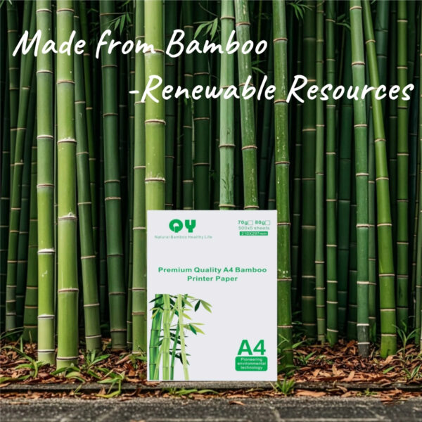 Bamboo A4 Copy Paper 80gsm 5 Packs - Image 2