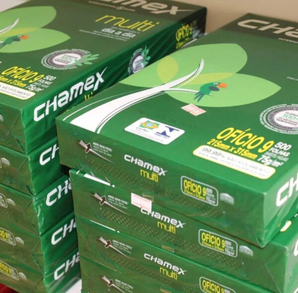 Cheap A4 Printer Paper - High Quality  Lowest Prices - Original 100% woodpulp Chamex A4 Copy Paper 70gsm 75gsm 80gsm - Image 3