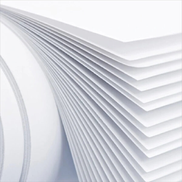 2025 Most Trendy Paper A4 A4 Paper 70 Gsm Paper A4 / wholesale - Image 5