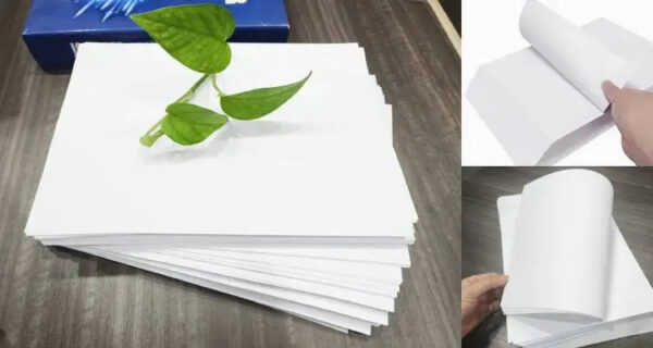 Wholesale Office Supplier A4 Size 70gsm 75gsm 80gsm Hard A4 Bond Paper 70 80 Gsm Draft Double White Printer Office Copy Paper - Image 5